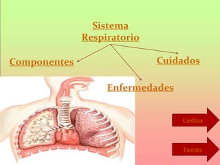 Sistema
Respiratorio
CuidadosComponentes
Enfermedades
Créditos
Fuentes
 