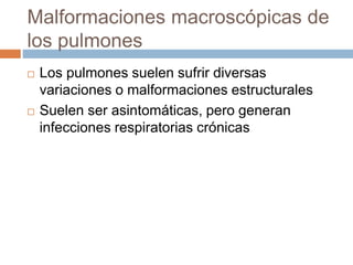 Malformaciones macroscópicas de
los pulmones
 Los pulmones suelen sufrir diversas
variaciones o malformaciones estructurales
 Suelen ser asintomáticas, pero generan
infecciones respiratorias crónicas
 