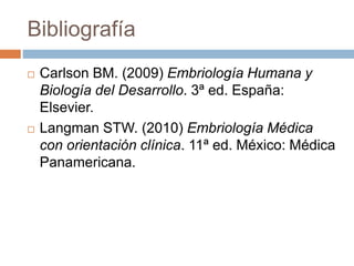 Bibliografía
 Carlson BM. (2009) Embriología Humana y
Biología del Desarrollo. 3ª ed. España:
Elsevier.
 Langman STW. (2010) Embriología Médica
con orientación clínica. 11ª ed. México: Médica
Panamericana.
 
