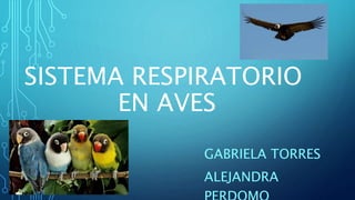 SISTEMA RESPIRATORIO
EN AVES
GABRIELA TORRES
ALEJANDRA
 