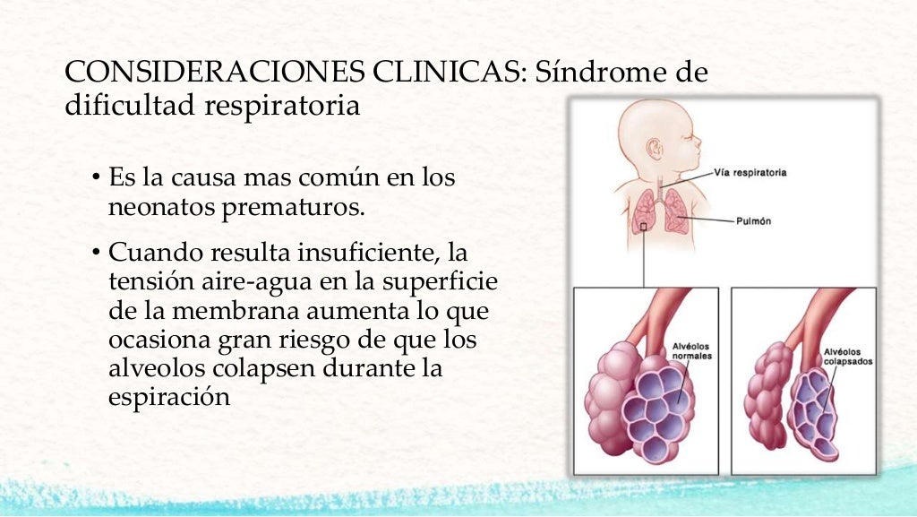 Formación embriologica del sistema respiratorio