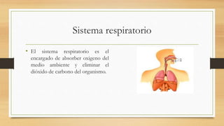 Sistema respiratorio
• El sistema respiratorio es el
encargado de absorber oxigeno del
medio ambiente y eliminar el
dióxido de carbono del organismo.
 