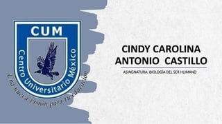 CASA DE ESQUÍ ALPINE
CINDY CAROLINA
ANTONIO CASTILLO
ASINGNATURA: BIOLOGÍA DEL SER HUMANO
 
