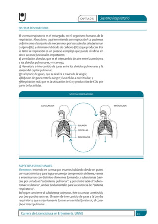 Carrera de Licenciatura en Enfermería. UNNE 41
Sistema Respiratorio
CAPÍTULO X
SISTEMA RESPIRATORIO
El sistema respiratorio es el encargado, en el organismo humano, de la
respiración. Ahora bien, ¿qué se entiende por respiración? La podemos
definircomoelconjuntodemecanismosporloscualeslascélulastoman
oxígeno (O2) y eliminan el dióxido de carbono (CO2) que producen. Por
lo tanto la respiración es un proceso complejo que puede dividirse en
cinco sucesos funcionales importantes:
1) Ventilación alveolar, que es el intercambio de aire entre la atmósfera
y los alvéolos pulmonares, y viceversa;
2) Hematosis o intercambio de gases entre los alvéolos pulmonares y la
sangre del capilar pulmonar;
3)Transporte de gases, que se realiza a través de la sangre;
4)Difusión de gases entre la sangre y las células a nivel tisular; y
5)Respiración real, que es la utilización de O2 y producción de CO2 por
parte de las células.
ASPECTOS ESTRUCTURALES
Elementos: teniendo en cuenta que estamos hablando desde un punto
de vista sistémico y para lograr una mejor comprensión del tema, vamos
a encontrarnos con distintos elementos formando 2 subsistemas bási-
cos; por un lado el “subsistema pulmonar”, y por el otro lado el “subsis-
tema circulatorio”, ambos fundamentales para la existencia del “sistema
respiratorio”.
En lo que concierne al subsistema pulmonar, éste va a estar constituído
por dos grandes sectores. El sector de intercambio de gases y la bomba
respiratoria, que conjuntamente forman una unidad funcional, el com-
plejo toracopulmonar.
 