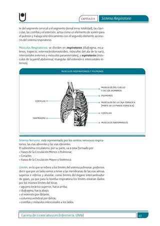 Carrera de Licenciatura en Enfermería. UNNE 43
Sistema Respiratorio
CAPÍTULO X
te del segmento cervical y el segmento dors...