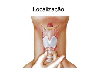 Localização
 