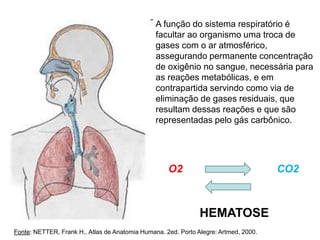 A função do sistema respiratório é
facultar ao organismo uma troca de
gases com o ar atmosférico,
assegurando permanente concentração
de oxigênio no sangue, necessária para
as reações metabólicas, e em
contrapartida servindo como via de
eliminação de gases residuais, que
resultam dessas reações e que são
representadas pelo gás carbônico.
O2 CO2
HEMATOSE
Fonte: NETTER, Frank H.. Atlas de Anatomia Humana. 2ed. Porto Alegre: Artmed, 2000.
 