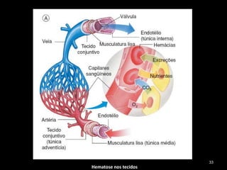 Hematose nos tecidos
33
 