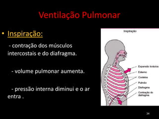 Ventilação Pulmonar
34
• Inspiração:
- contração dos músculos
intercostais e do diafragma.
- volume pulmonar aumenta.
- pressão interna diminui e o ar
entra .
 