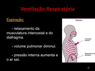 Ventilação Respiratória
35
Expiração:
- relaxamento da
musculatura intercostal e do
diafragma.
- volume pulmonar diminui.
- pressão interna aumenta e
o ar saí.
 