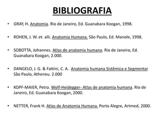 BIBLIOGRAFIA
• GRAY, H. Anatomia. Rio de Janeiro, Ed. Guanabara Koogan, 1998.
• ROHEN, J. W. et. alli. Anatomia Humana. São Paulo, Ed. Manole, 1998.
• SOBOTTA, Johannes. Atlas de anatomia humana. Rio de Janeiro, Ed.
Guanabara Koogan, 2.000.
• DANGELO, J. G. & Fattini, C. A. Anatomia humana Sistêmica e Segmentar.
São Paulo, Atheneu. 2.000
• KOPF-MAIER, Petra. Wolf-Heidegger- Atlas de anatomia humana. Rio de
Janeiro, Ed. Guanabara Koogan, 2000.
• NETTER, Frank H. Atlas de Anatomia Humana. Porto Alegre, Artmed, 2000.
 