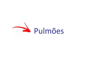 Pulmões
 