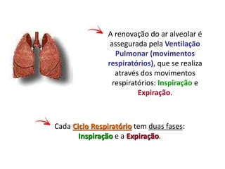 A renovação do ar alveolar é
assegurada pela Ventilação
Pulmonar (movimentos
respiratórios), que se realiza
através dos movimentos
respiratórios: Inspiração e
Expiração.
Cada Ciclo Respiratório tem duas fases:
Inspiração e a Expiração.
 