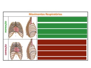 Movimentos Respiratórios
1. O diafragma contrai e desce; os músculos intercostais
contraem.
2. As costelas e o esterno sobem, o que faz com que os
pulmões se distendam.
3. A caixa torácica  de volume e a pressão intrapulmonar .
4. O AR ENTRA NOS PULMÕES
1. O diafragma relaxa e sobe; os músculos intercostais
relaxam.
2. As costelas e o esterno descem, o que faz com que os
pulmões se contraiam.
3. A caixa torácica  de volume e a pressão intrapulmonar .
4. O AR SAI DOS PULMÓES PARA O EXTERIOR
INSPIRAÇÃO
EXPIRAÇÃO
 