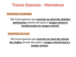 Trocas Gasosas - Hematose
São trocas gasosas que ocorrem ao nível dos alvéolos
pulmonares através das quais o sangue venoso é
transformado em sangue arterial.
HEMATOSE PULMONAR
HEMATOSE CELULAR
São trocas gasosas que ocorrem ao nível das células
dos órgãos através das quais o sangue arterial passa a
sangue venoso.
 