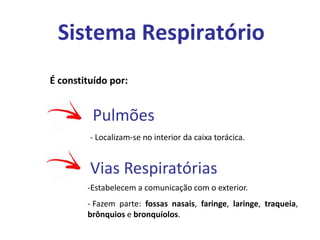 Sistema Respiratório
Pulmões
É constituído por:
- Localizam-se no interior da caixa torácica.
-Estabelecem a comunicação com o exterior.
- Fazem parte: fossas nasais, faringe, laringe, traqueia,
brônquios e bronquíolos.
Vias Respiratórias
 