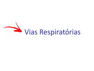 Vias Respiratórias
 