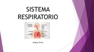 SISTEMA
RESPIRATORIO
Andrea Tirira
 