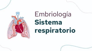 Embriología
Sistema
respiratorio
 