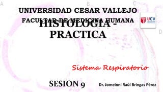HISTOLOGIA -
PRACTICA
Dr. Jomeinni Raúl Bringas Pérez
UNIVERSIDAD CESAR VALLEJO
FACULTAD DE MEDICINA HUMANA
SESION 9
Sistema Respiratorio
 