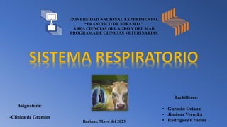 UNIVERSIDAD NACIONAL EXPERIMENTAL
“FRANCISCO DE MIRANDA”
ÁREA CIENCIAS DELAGRO Y DEL MAR
PROGRAMA DE CIENCIAS VETERINARIAS
Barinas, Mayo del 2023
Bachilleres:
• Guzmán Oriana
• Jiménez Veruzka
• Rodríguez Cristina
Asignatura:
-Clínica de Grandes
 