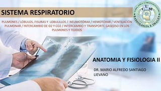 ANATOMIA Y FISIOLOGIA II
SISTEMA RESPIRATORIO
DR. MARIO ALFREDO SANTIAGO
LIEVANO
PULMONES / LÓBULOS, FISURAS Y LOBULILLOS / NEUMOTÓRAX / HEMOTÓRAX / VENTILACIÓN
PULMONAR / INTERCAMBIO DE O2 Y CO2 / INTERCAMBIO Y TRANSPORTE GASEOSO EN LOS
PULMONES Y TEJIDOS
 