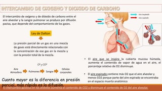 El intercambio de oxígeno y de dióxido de carbono entre el
aire alveolar y la sangre pulmonar se produce por difusión
pasiva, que depende del comportamiento de los gases.
O² y CO²
Aire
Atmosfera Pulmones Sangre
Células
corporales
Ley de Dalton
La presión parcial de un gas en una mezcla
de gases está directamente relacionada con
la concentración de ese gas en la mezcla y
con la presión total de la mezcla.
Cuanto mayor es la diferencia en presión
parcial, más rápida es la difusión.
El intercambio gaseoso en los alvéolos aumenta el contenido de CO2 y disminuye el contenido de O2 del aire alveolar.
• El aire que se inspira la cubierta mucosa húmeda,
aumenta el contenido de vapor de agua en el aire, el
porcentaje relativo de O2 disminuye.
• El aire espirado contiene más O2 que el aire alveolar y
menos CO2 porque parte del aire espirado se encontraba
en el espacio muerto anatómico
 