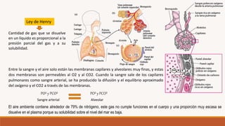 Entre la sangre y el aire solo están las membranas capilares y alveolares muy finas, y estas
dos membranas son permeables al O2 y al CO2. Cuando la sangre sale de los capilares
pulmonares como sangre arterial, se ha producido la difusión y el equilibrio aproximado
del oxígeno y el CO2 a través de las membranas.
PO² y PCO²
Sangre arterial Alveolar
PO² y PCO²
Ley de Henry
Cantidad de gas que se disuelve
en un líquido es proporcional a la
presión parcial del gas y a su
solubilidad.
El aire ambiente contiene alrededor de 79% de nitrógeno, este gas no cumple funciones en el cuerpo y una proporción muy escasa se
disuelve en el plasma porque su solubilidad sobre el nivel del mar es baja.
 
