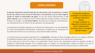 Centro de bachillerato tecnológico (CBT)
CONCLUSIONES
El aparato respiratorio está formado por las vías aéreas y por los pulmones. A través
de las vías aéreas el aire circula en dirección a los pulmones y es en estos órganos
donde se realiza el intercambio de gases. En las vías aéreas diferenciamos la vía
aérea superior, que va desde la nariz y la boca hasta las cuerdas vocales, e incluye la
faringe y la laringe, y la vía aérea inferior, formada por la tráquea, los bronquios y
sus ramificaciones en el interior de los pulmones, los bronquiolos.
Los bronquios principales ingresan en el interior de cada pulmón y se van dividiendo
en ramas más pequeñas (bronquiolos). Finalmente a medida que se introducen en
los pulmones terminan en unas bolsas o sacos denominados alveolos.
La función básica del aparato respiratorio es la respiración. Consiste en llevar el oxígeno del aire a la sangre y eliminar
el anhídrido carbónico (CO2) al aire. Este intercambio de gases se produce en el interior de los pulmones.
El aire entra por la nariz y/o la boca y es conducido a través de las vías respiratorias hasta los alvéolos, donde se
produce el intercambio de gases. Así, el oxígeno pasa a la sangre y es transportado a todas las células. A su vez, el
anhídrido carbónico (CO2) que se produce en las células es transportado hasta los pulmones para su eliminación.
Al presentar problemas
patológico o traumáticos en
el aparato respiratorio
(tórax).
Lo mejor es obtener un
diagnostico temprano para
evitar complicaciones,
secuelas o poner en riesgo la
vida del usuario.
 