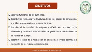 OBJETIVOS
Centro de bachillerato tecnológico (CBT)
Listar las funciones de los pulmones.
Describir las funciones y estructuras de las vías aéreas de conducción,
la unidad alvéolo-capilar, y la pared torácica.
Describir el intercambio de oxígeno y dióxido de carbono con la
atmósfera, y relacionar el intercambio de gases con el metabolismo de
los tejidos del cuerpo.
Describir el inicio de la respiración en el sistema nervioso central, y la
inervación de los músculos respiratorios.
 