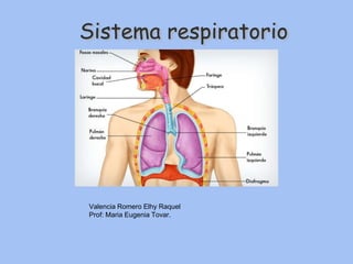 Sistema respiratorio
Valencia Romero Elhy Raquel
Prof: Maria Eugenia Tovar.
 
