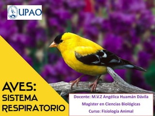 Docente: M.V.Z Angélica Huamán Dávila
Magister en Ciencias Biológicas
Curso: Fisiología Animal
 