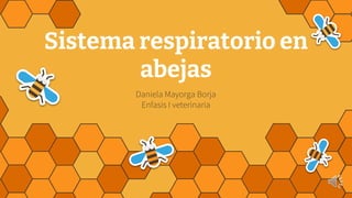 Sistema respiratorio en
abejas
Daniela Mayorga Borja
Enfasis I veterinaria
 