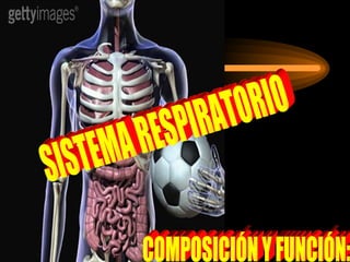 COMPOSICIÓN Y FUNCIÓN: SISTEMA RESPIRATORIO 