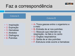Faz a correspondência 