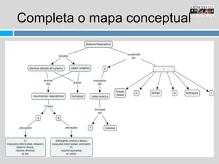 Completa o mapa conceptual