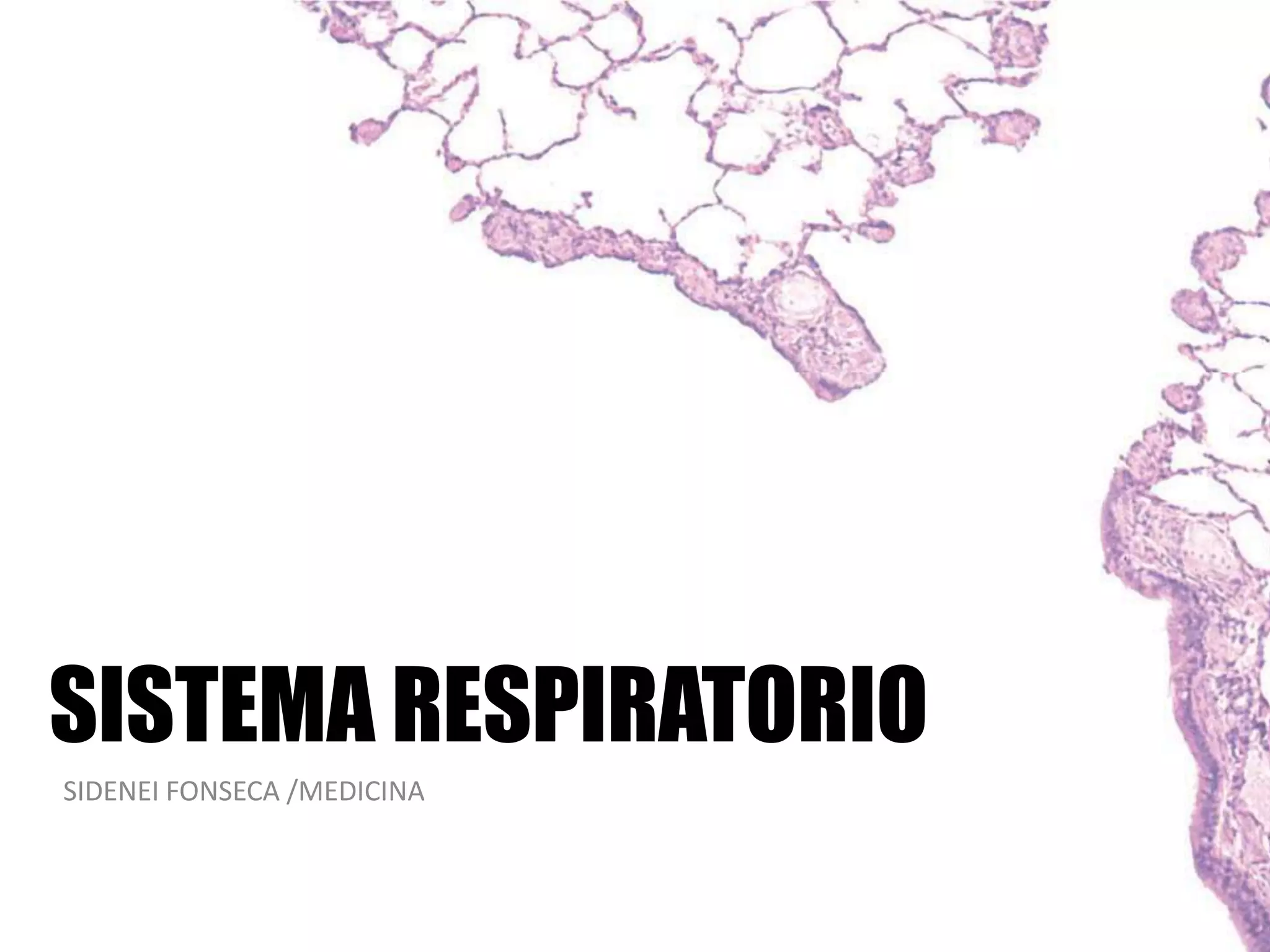 SISTEMA RESPIRATORIO
SIDENEI FONSECA /MEDICINA
 
