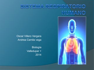 Oscar Villero Vergara
Andrea Camila vega
Biología
Valledupar +
2014
 