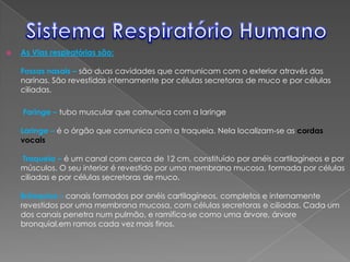  As Vias respiratórias são:
Fossas nasais – são duas cavidades que comunicam com o exterior através das
narinas. São revestidas internamente por células secretoras de muco e por células
ciliadas.
Faringe – tubo muscular que comunica com a laringe
Laringe – é o órgão que comunica com a traqueia. Nela localizam-se as cordas
vocais
Traqueia – é um canal com cerca de 12 cm, constituído por anéis cartilagíneos e por
músculos. O seu interior é revestido por uma membrana mucosa, formada por células
ciliadas e por células secretoras de muco.
Brônquios – canais formados por anéis cartilagíneos, completos e internamente
revestidos por uma membrana mucosa, com células secretoras e ciliadas. Cada um
dos canais penetra num pulmão, e ramifica-se como uma árvore, árvore
bronquial,em ramos cada vez mais finos.
 