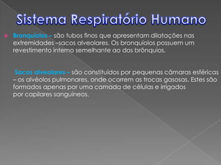  Bronquíolos – são tubos finos que apresentam dilatações nas
extremidades –sacos alveolares. Os bronquíolos possuem um
revestimento interno semelhante ao dos brônquios.
Sacos alveolares – são constituídos por pequenas câmaras esféricas
– os alvéolos pulmonares, onde ocorrem as trocas gasosas. Estes são
formados apenas por uma camada de células e irrigados
por capilares sanguíneos.
 