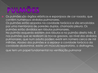  Os pulmões são órgãos elásticos e esponjosos de cor rosada, que
contêm numerosos alvéolos pulmonares.
Os pulmões estão alojados na cavidade torácica e são envolvidos
por uma membrana de paredes duplas, chamada pleura. Os
pulmões estão divididos em lóbulos pulmonares.
No pulmão esquerdo existem dois lóbulos e no pulmão direito três. É
nos pulmões que se realizam as trocas gasosas, ao nível dos alvéolos
pulmonares, que num adulto podem existir em número cerca de mil
milhões. Abaixo dos pulmões e a separar a cavidade torácica da
cavidade abdominal, existe um músculo respiratório, o diafragma,
que tem um papel fundamental na ventilação pulmonar
 