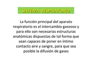 La función principal del aparato
respiratorio es el intercambio gaseoso y
para ello son necesarias estructuras
anatómicas dispuestas de tal forma que
sean capaces de poner en íntimo
contacto aire y sangre, para que sea
posible la difusión de gases
SISTEMA RESPIRATORIOSISTEMA RESPIRATORIO
 