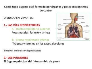 Como todo sistema está formado por órganos y posee mecanismos
de control
DIVIDIDO EN 2 PARTES:
1.- LAS VÍAS RESPIRATORIAS
a.- Tracto respiratorio superior
Fosas nasales, faringe y laringe
b.- Tracto respiratorio inferior
Tráquea y termina en los sacos alveolares
Siendo el limite el cartílago cricoides
2.- LOS PULMONES
El órgano principal del intercambio de gases
 