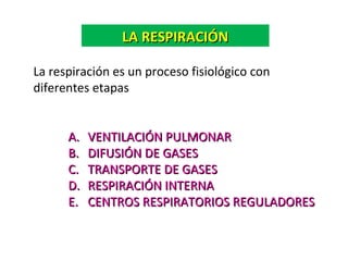 La respiración es un proceso fisiológico con
diferentes etapas
A.A. VENTILACIÓN PULMONARVENTILACIÓN PULMONAR
B.B. DIFUSIÓN DE GASESDIFUSIÓN DE GASES
C.C. TRANSPORTE DE GASESTRANSPORTE DE GASES
D.D. RESPIRACIÓN INTERNARESPIRACIÓN INTERNA
E.E. CENTROS RESPIRATORIOS REGULADORESCENTROS RESPIRATORIOS REGULADORES
LA RESPIRACIÓNLA RESPIRACIÓN
 