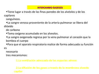 •Tiene lugar a través de las finas paredes de los alvéolos y de los
capilares
sanguíneos.
•La sangre venosa proveniente de la arteria pulmonar se libera del
dióxido
de carbono
•Toma oxigeno acumulado en los alveolos.
•La sangre oxigenada regresa por la vena pulmonar al corazón que la
bombea el cuerpo
•Para que el aparato respiratorio realice de forma adecuada su función
es
necesario
tres mecanismos:
1.La ventilación adecuada de los espacios aéreos
2.La difusión de los gases a través de la membrana alveolo
capilar
INTERCAMBIO GASEOSOINTERCAMBIO GASEOSO
 