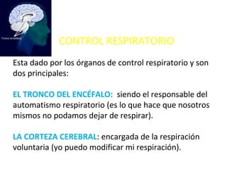 Esta dado por los órganos de control respiratorio y son
dos principales:
EL TRONCO DEL ENCÉFALO: siendo el responsable del
automatismo respiratorio (es lo que hace que nosotros
mismos no podamos dejar de respirar).
LA CORTEZA CEREBRAL: encargada de la respiración
voluntaria (yo puedo modificar mi respiración).
CONTROL RESPIRATORIO
 