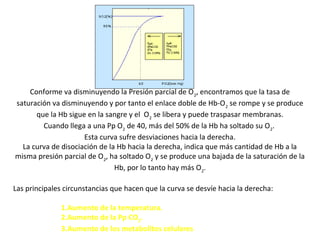Conforme va disminuyendo la Presión parcial de O2
, encontramos que la tasa de
saturación va disminuyendo y por tanto el enlace doble de Hb-O2
se rompe y se produce
que la Hb sigue en la sangre y el O2
se libera y puede traspasar membranas.
Cuando llega a una Pp O2
de 40, más del 50% de la Hb ha soltado su O2
.
Esta curva sufre desviaciones hacia la derecha.
La curva de disociación de la Hb hacia la derecha, indica que más cantidad de Hb a la
misma presión parcial de O2
, ha soltado O2
y se produce una bajada de la saturación de la
Hb, por lo tanto hay más O2
.
Las principales circunstancias que hacen que la curva se desvíe hacia la derecha:
1.Aumento de la temperatura.
2.Aumento de la Pp CO2
.
3.Aumento de los metabolitos celulares
 