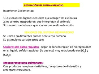 Intervienen 3 elementos:
1.Los sensores: órganos sensibles que recogen los estímulos
2.los centros integradores: que interpretan el estimulo
3.Los centros efectores: que son los que realizan la acción
SENSORES DEL SISTEMA RESPIRATORIO
Se ubican en diferentes puntos del cuerpo humano
Su estimulo es variado estos son:
Sensores del bulbo raquídeo : según la concentración de hidrogeniones
en el liquido cefalorraquídeo (lo que está muy relacionado con [O2
] y
[CO2
]).
Mecanoreceptores pulmonaresMecanoreceptores pulmonares::
Que producen receptores irritativos, receptores de distensión y
receptores vasculares.
REGULACIÓN DEL SISTEMA NERVIOSOREGULACIÓN DEL SISTEMA NERVIOSO
 