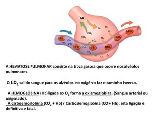 A HEMATOSE PULMONAR consiste na troca gasosa que ocorre nos alvéolos pulmonares. O CO2 sai do sangue para os alvéolos e o oxigénio faz o caminho inverso.A HEMOGLOBINA(Hb)ligada ao O2 forma a oxiemoglobina. (Sangue arterial ou oxigenado).  A carboemoglobina (CO2 + Hb) / Carboxiemoglobina (CO + Hb), esta ligação é definitiva e fatal.