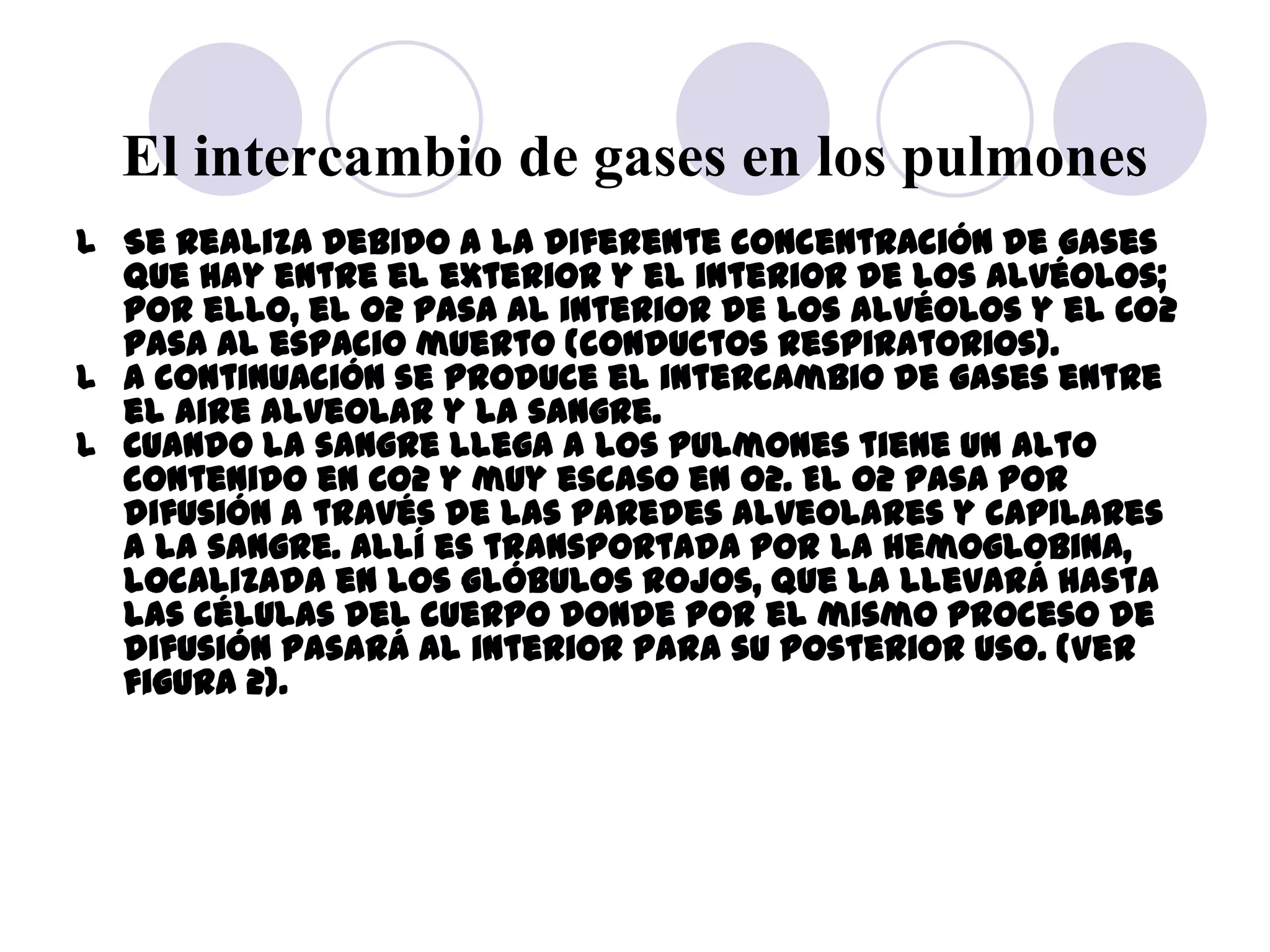 El intercambio de gases en los pulmones
l Se realiza debido a la diferente concentración de gases
  que hay entre el exterior y el interior de los alvéolos;
  por ello, el O2 pasa al interior de los alvéolos y el CO2
  pasa al espacio muerto (conductos respiratorios).
l A continuación se produce el intercambio de gases entre
  el aire alveolar y la sangre.
l Cuando la sangre llega a los pulmones tiene un alto
  contenido en CO2 y muy escaso en O2. El O2 pasa por
  difusión a través de las paredes alveolares y capilares
  a la sangre. Allí es transportada por la hemoglobina,
  localizada en los glóbulos rojos, que la llevará hasta
  las células del cuerpo donde por el mismo proceso de
  difusión pasará al interior para su posterior uso. (Ver
  figura 2).
 